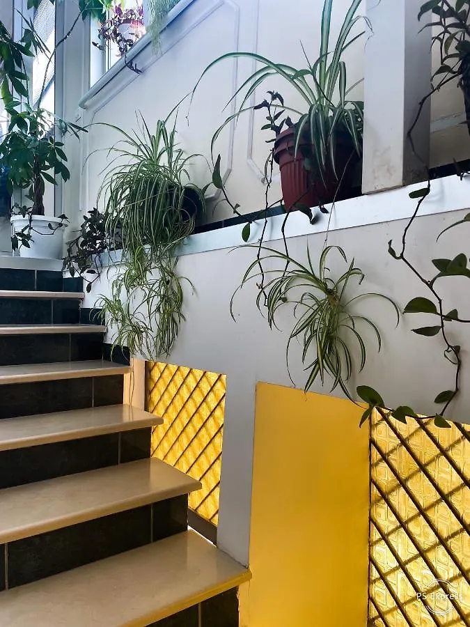 Hotel 4 Corone Napoli Italia